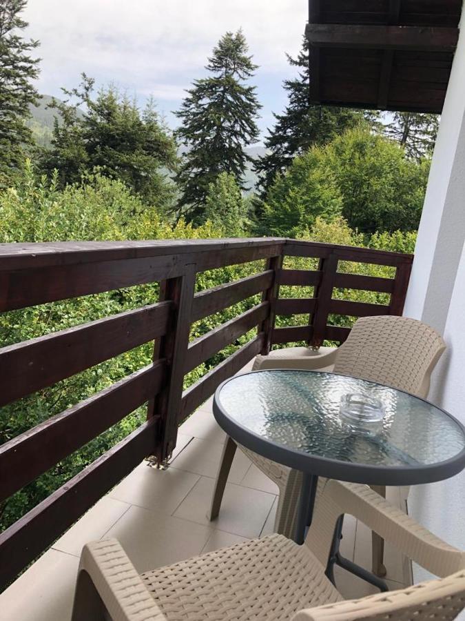 Casa Viorica Hotel Statjunea Borsa Exterior photo